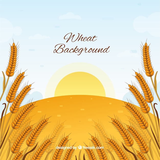 Hand drawn wheat background