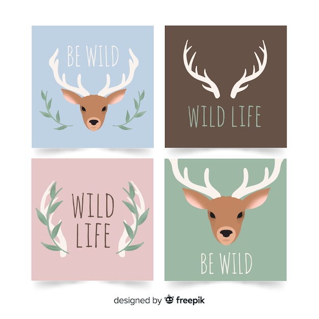 Free Vector hand drawn wild animal card collection