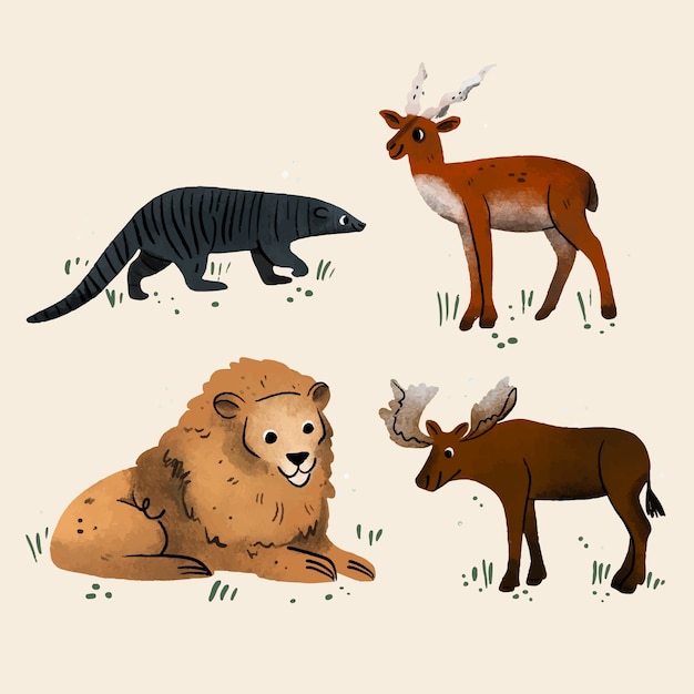 Free Vector hand drawn wild animals collection