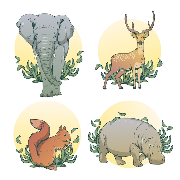 Free vector hand drawn wild animals illustration