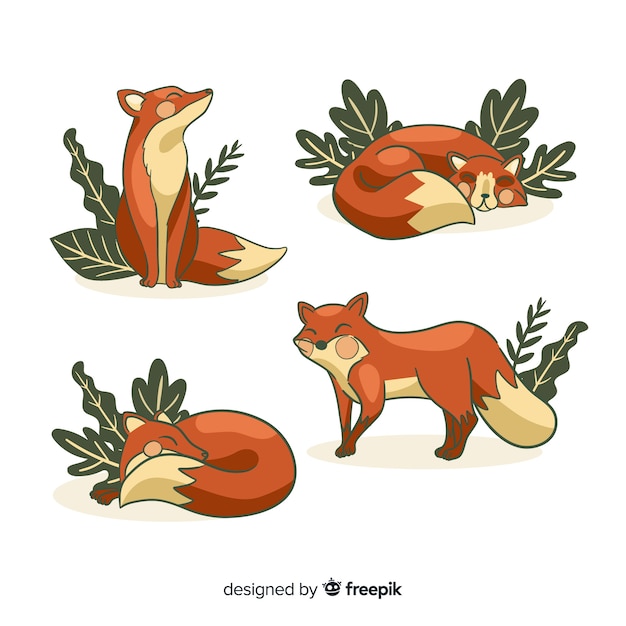 Hand drawn wild fox collection