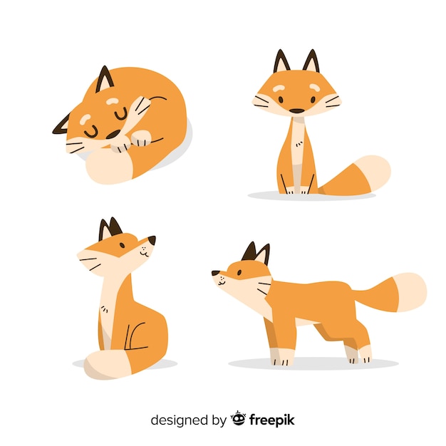 Hand drawn wild fox collection