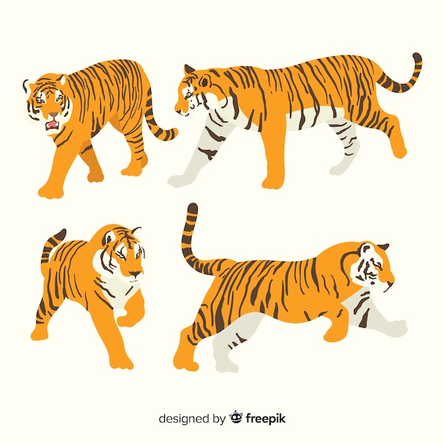 Hand drawn wild tiger collection