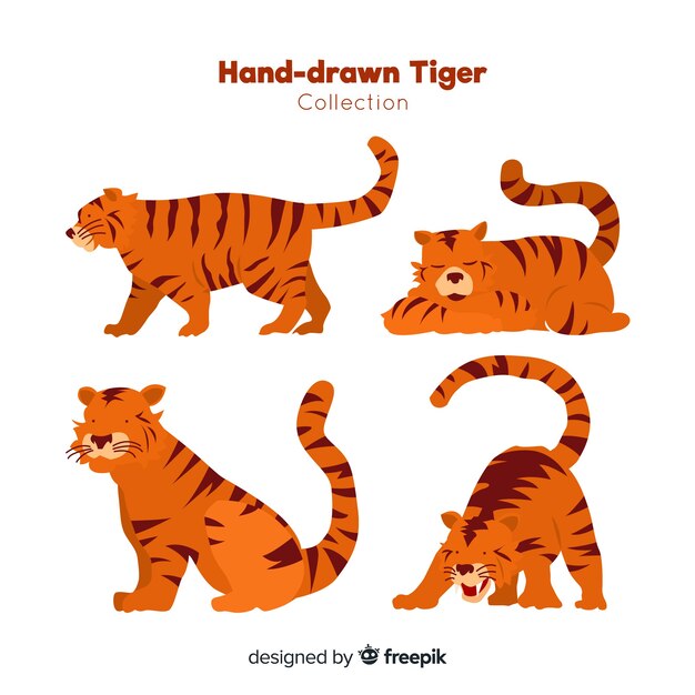 Hand drawn wild tiger collection