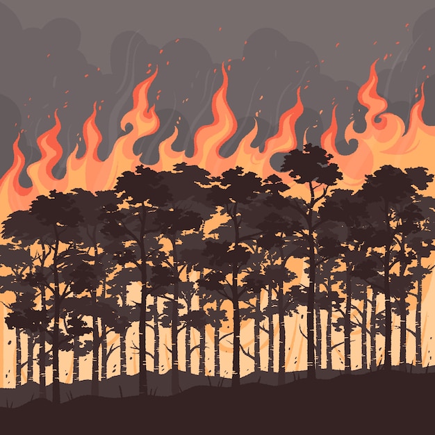 Free vector hand drawn wildfire illustration