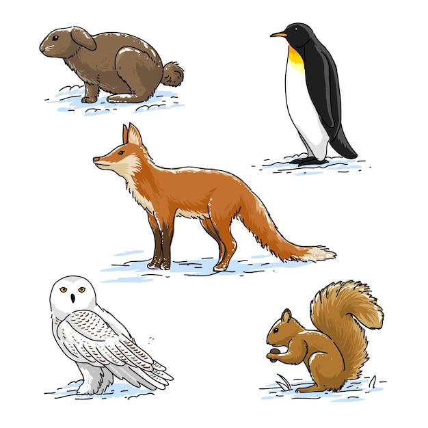 Free vector hand drawn winter animals collection