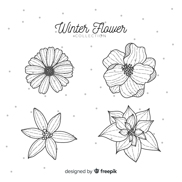 Hand drawn winter flower collection