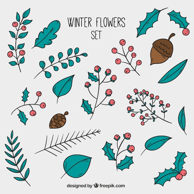 Hand-drawn winter flowers collection