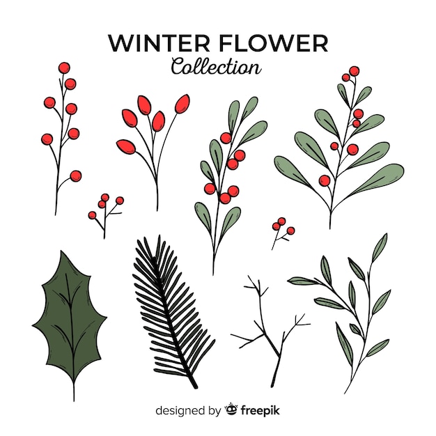 Hand drawn winter flowers collection