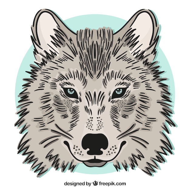 Free vector hand drawn wolf background