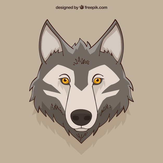 Hand drawn wolf head background 