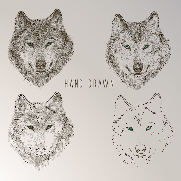 Free Vector hand drawn wolf head collection