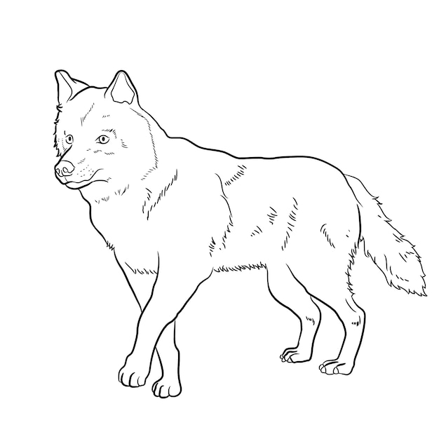 Hand drawn wolf outline illustration