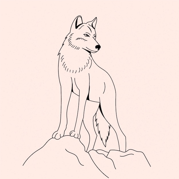 Hand drawn wolf  outline illustration