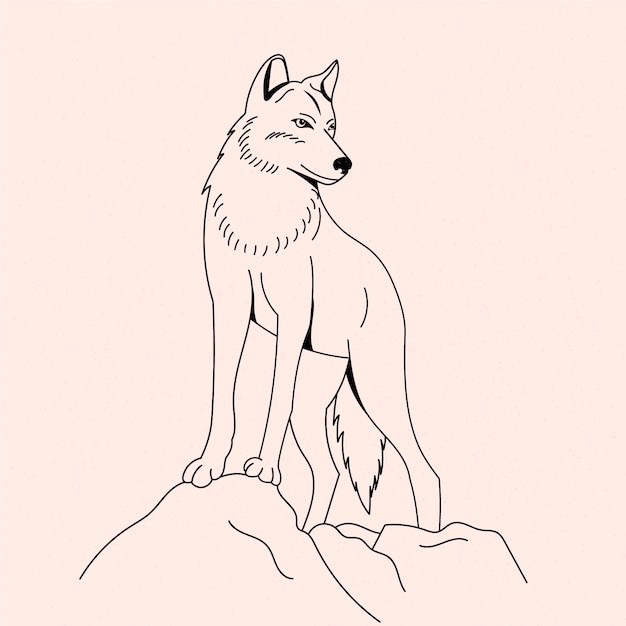 Hand drawn wolf  outline illustration