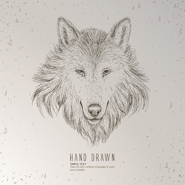 Free Vector hand drawn wolf