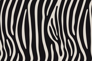 zebra patterns