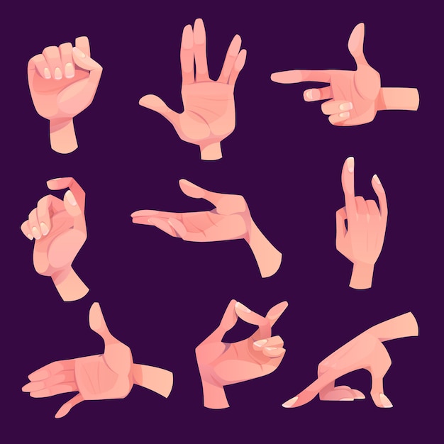 Free Vector hand gestures in different positions set isolated