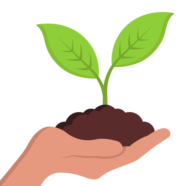 Free Vector hand giving growing plant