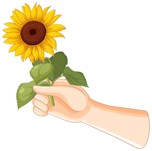 Free vector hand holding a bright sunflower