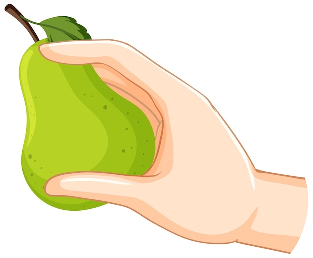 Free vector hand holding a fresh green pear