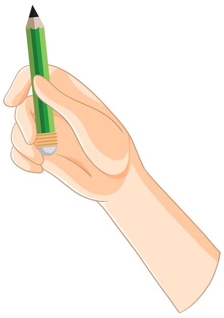 Free Vector hand holding a green pencil