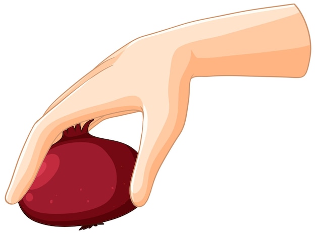 Free Vector hand holding a pomegranate illustration