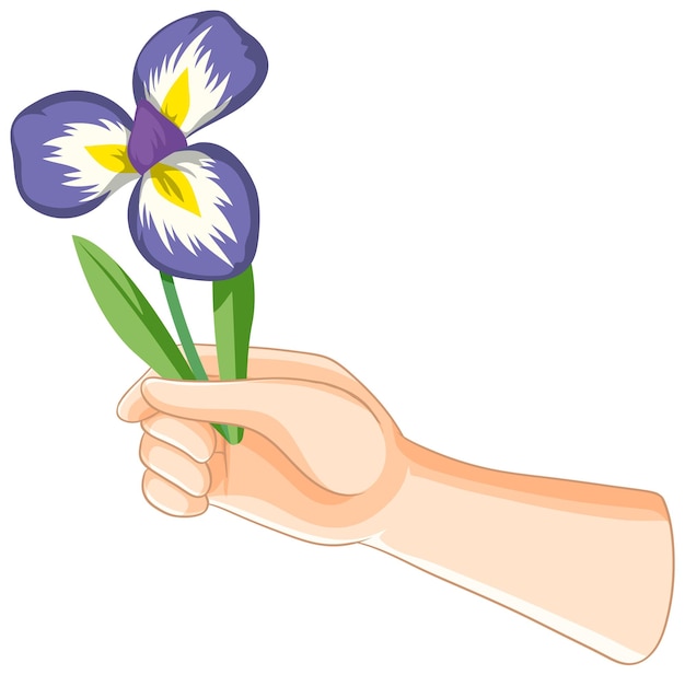 Free Vector hand holding a purple flower