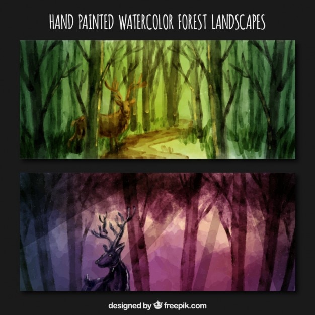 Hand painted beautiful forest with a dell banners 