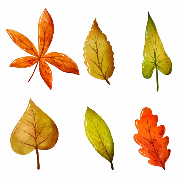 Hand painted different leaves in watercolor collection