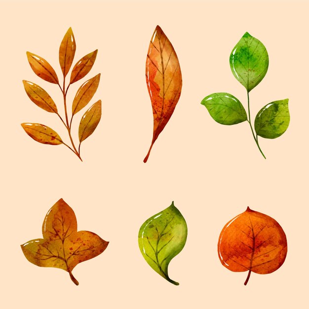 Hand painted different leaves in watercolor collection