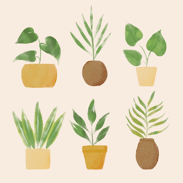 Free Vector hand painted houseplants illustrated collection