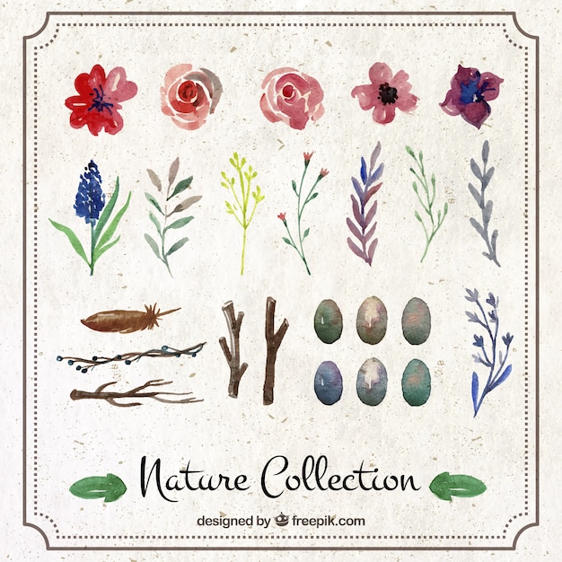 Free vector hand painted nature collection