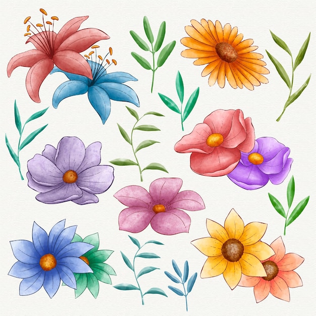 Hand painted pretty flowers set