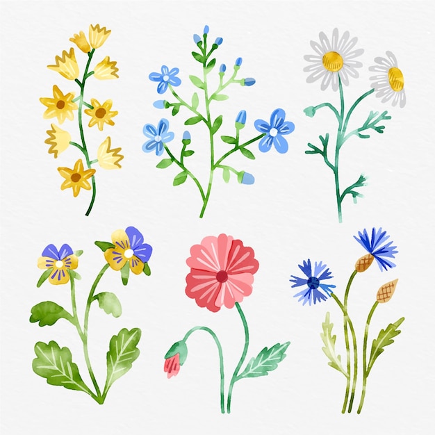 Free Vector hand painted spring flower collection