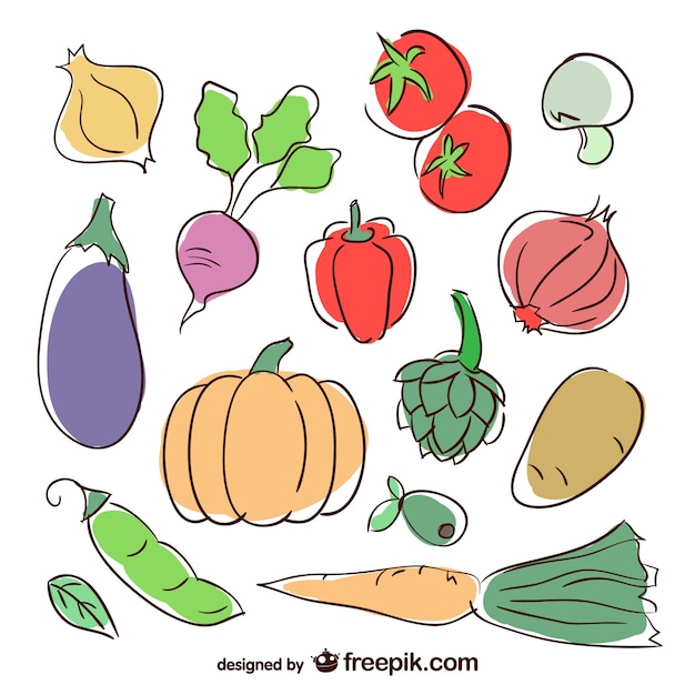 Free Vector hand painted vegetables