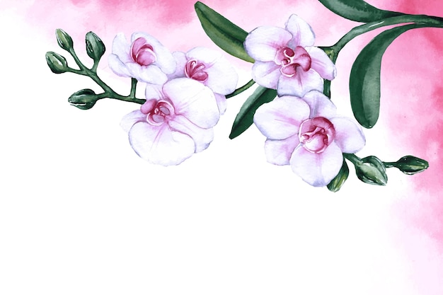 Free Vector hand painted watercolor floral background