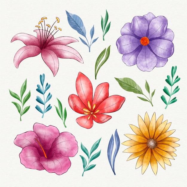 Hand painted watercolor flower collection