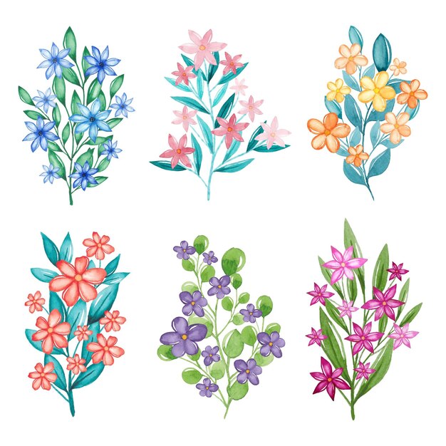 Hand painted watercolor flower collection