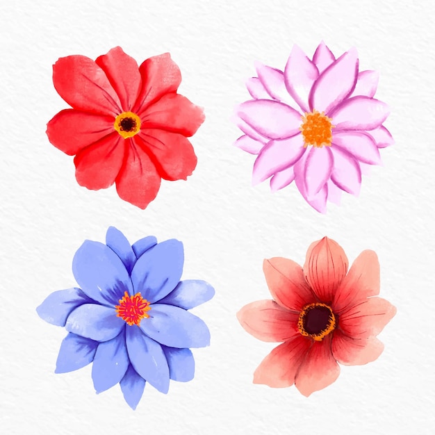 Hand painted watercolor flower collection