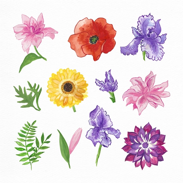 Free Vector hand painted watercolor flowers collection