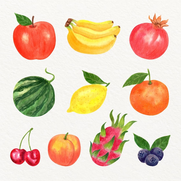 Hand painted watercolor fruit collection