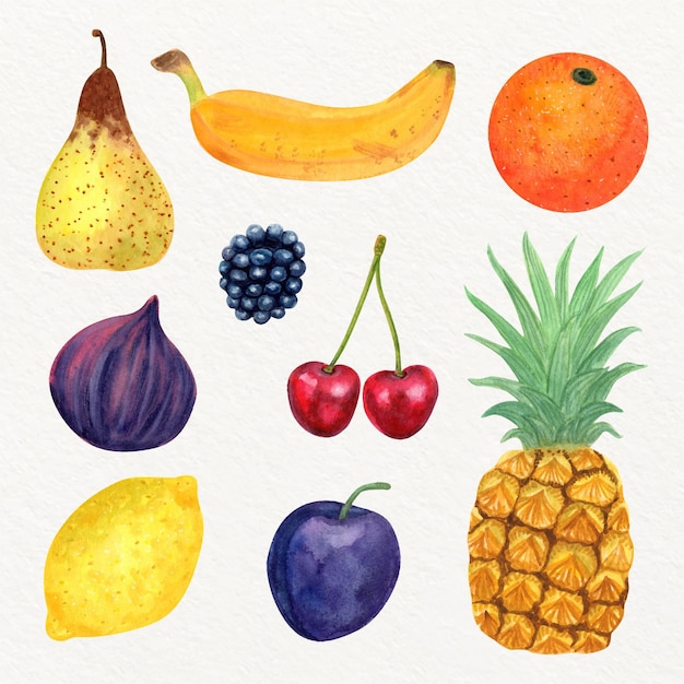 Free Vector hand painted watercolor fruit collection