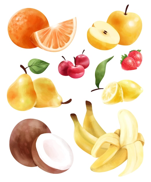 Hand painted watercolor fruit collection