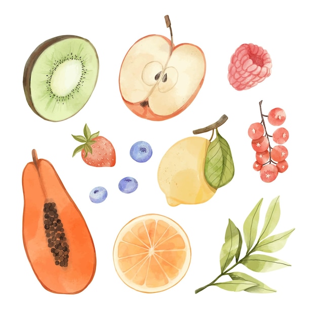 Free vector hand painted watercolor fruit collection