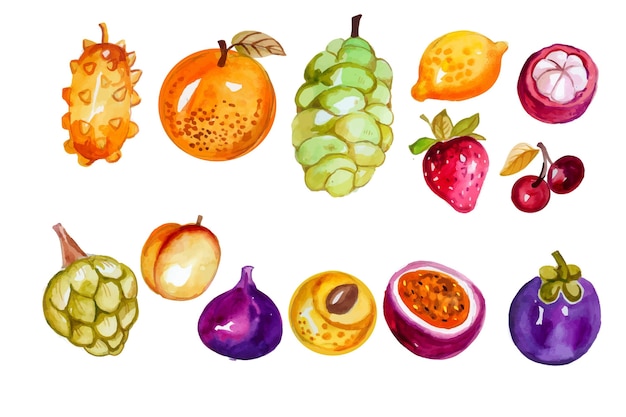 Free Vector hand painted watercolor fruit set