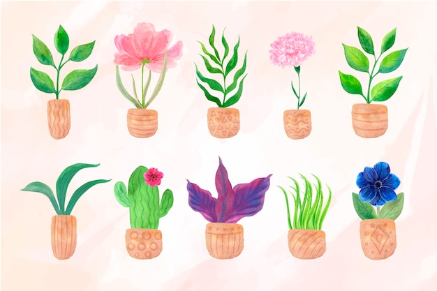 Free Vector hand painted watercolor houseplant collection