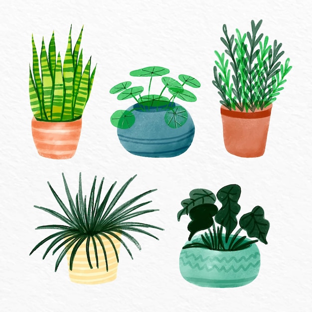 Free Vector hand painted watercolor houseplant collection