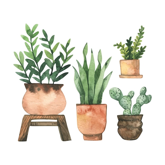 Hand painted watercolor houseplants set