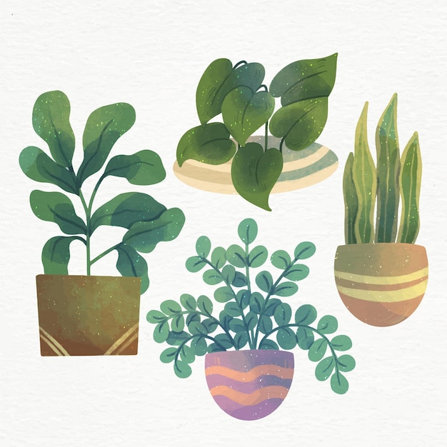 Free Vector hand painted watercolor houseplants